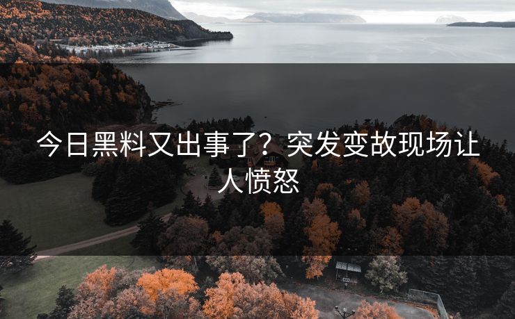 今日黑料又出事了？突发变故现场让人愤怒