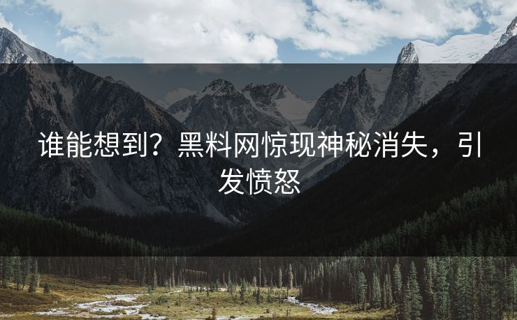 谁能想到？黑料网惊现神秘消失，引发愤怒
