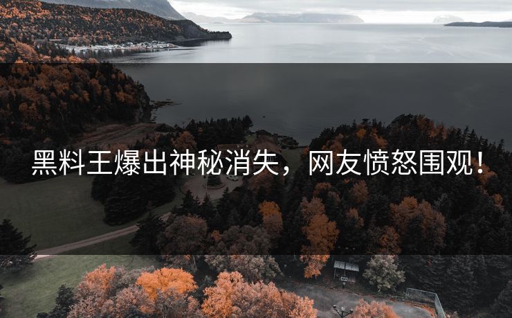 黑料王爆出神秘消失，网友愤怒围观！