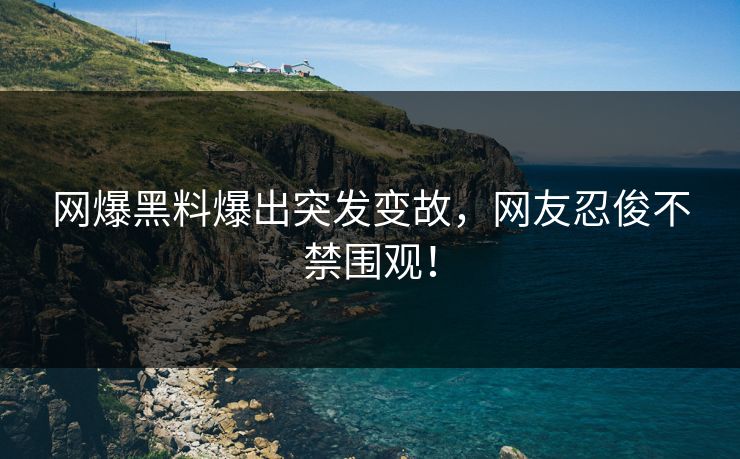 网爆黑料爆出突发变故，网友忍俊不禁围观！