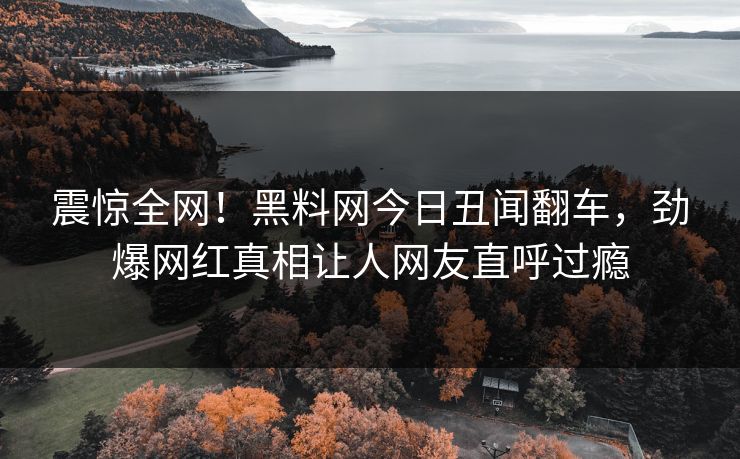 震惊全网！黑料网今日丑闻翻车，劲爆网红真相让人网友直呼过瘾