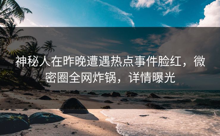 神秘人在昨晚遭遇热点事件脸红，微密圈全网炸锅，详情曝光