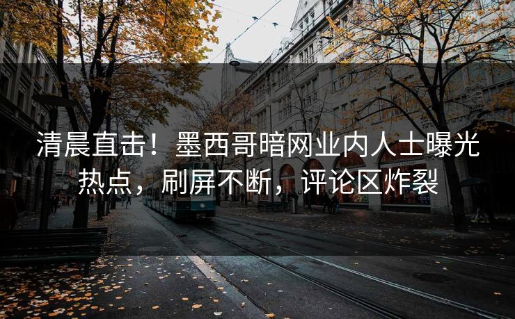 清晨直击！墨西哥暗网业内人士曝光热点，刷屏不断，评论区炸裂
