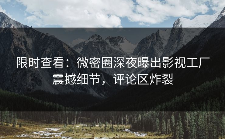 限时查看：微密圈深夜曝出影视工厂震撼细节，评论区炸裂