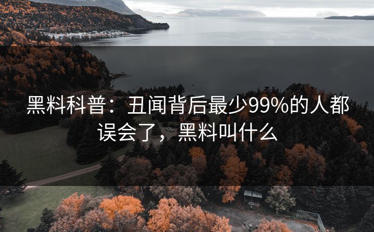 黑料科普：丑闻背后最少99%的人都误会了，黑料叫什么